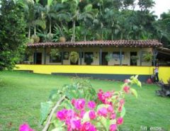 10103 - Manizales, Caldas의 핀카